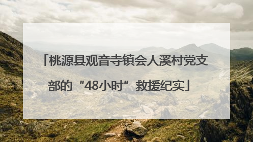 桃源县观音寺镇会人溪村党支部的“48小时”救援纪实