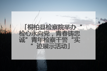 桐柏县检察院举办“检心永向党，青春铸忠诚”青年检察干警“实”迹展示活动