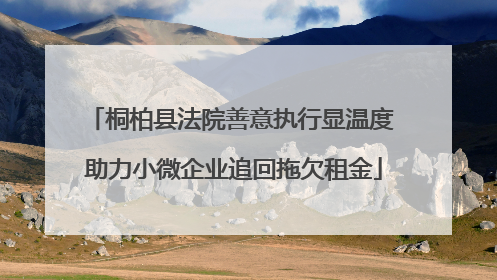桐柏县法院善意执行显温度 助力小微企业追回拖欠租金
