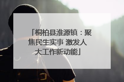 桐柏县淮源镇：聚焦民生实事 激发人大工作新动能