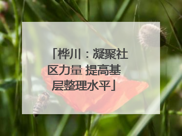 桦川：凝聚社区力量 提高基层整理水平