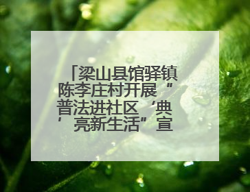 梁山县馆驿镇陈李庄村开展“普法进社区‘典’亮新生活”宣讲活动