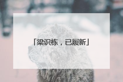 梁识栋，已履新