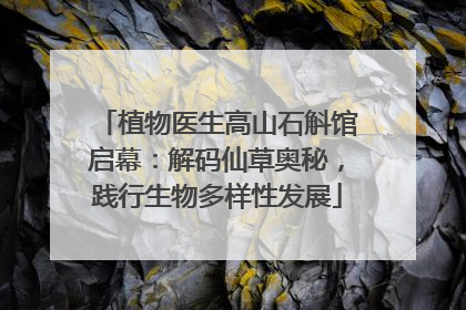 植物医生高山石斛馆启幕：解码仙草奥秘，践行生物多样性发展