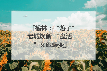 榆林：“落子”老城焕新 “盘活”文旅蝶变
