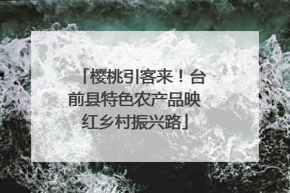 樱桃引客来！台前县特色农产品映红乡村振兴路