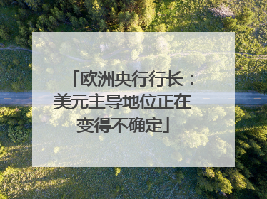 欧洲央行行长：美元主导地位正在变得不确定