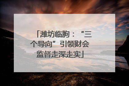 潍坊临朐：“三个导向”引领财会监督走深走实