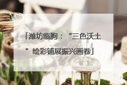 潍坊临朐：“三色沃土”绘彩铺展振兴画卷