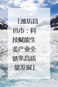 潍坊昌邑市：科技赋能生姜产业全链条高质量发展