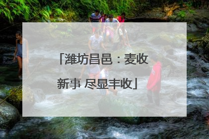 潍坊昌邑：麦收新事 尽显丰收