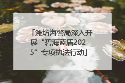 潍坊海警局深入开展“碧海蓝盾2025”专项执法行动