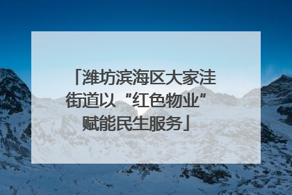 潍坊滨海区大家洼街道以“红色物业”赋能民生服务