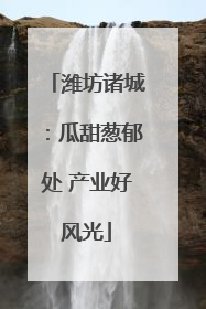 潍坊诸城：瓜甜葱郁处 产业好风光