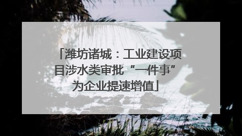 潍坊诸城：工业建设项目涉水类审批“一件事” 为企业提速增值