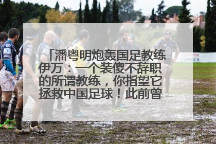 潘粤明炮轰国足教练伊万：一个装傻不辞职的所谓教练，你指望它拯救中国足球！此前曾多次发文评价国足