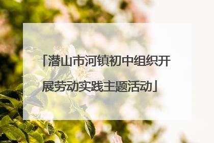 潜山市河镇初中组织开展劳动实践主题活动