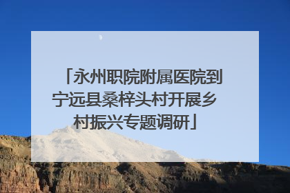 永州职院附属医院到宁远县桑梓头村开展乡村振兴专题调研