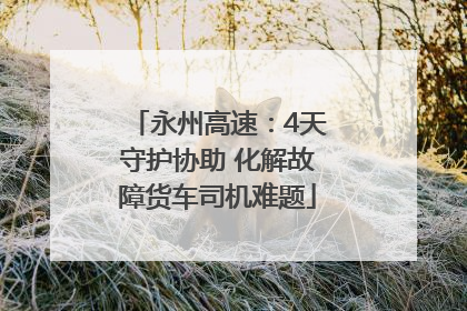 永州高速：4天守护协助 化解故障货车司机难题