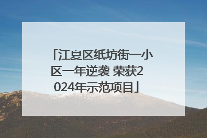 江夏区纸坊街一小区一年逆袭 荣获2024年示范项目