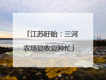 江苏盱眙：三河农场夏收夏种忙
