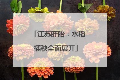 江苏盱眙：水稻插秧全面展开