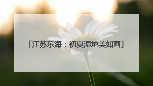 江苏东海：初夏湿地美如画