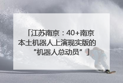 江苏南京：40+南京本土机器人上演现实版的“机器人总动员”