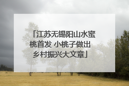 江苏无锡阳山水蜜桃首发 小桃子做出乡村振兴大文章