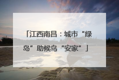 江西南昌：城市“绿岛”助候鸟“安家”