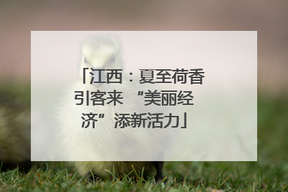 江西：夏至荷香引客来 “美丽经济”添新活力