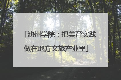 池州学院：把美育实践做在地方文旅产业里