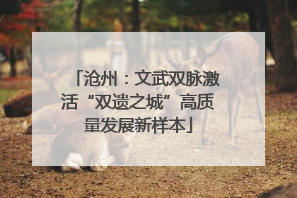 沧州：文武双脉激活“双遗之城”高质量发展新样本