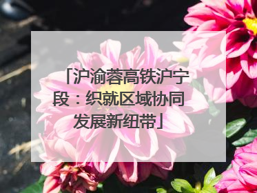 沪渝蓉高铁沪宁段：织就区域协同发展新纽带