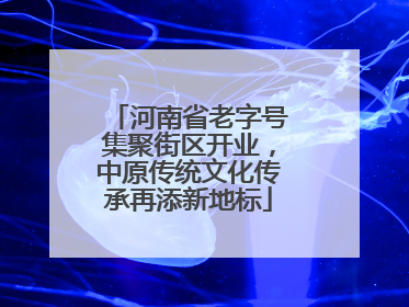 河南省老字号集聚街区开业，中原传统文化传承再添新地标