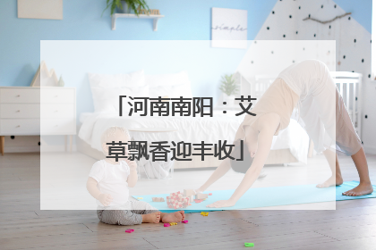 河南南阳：艾草飘香迎丰收