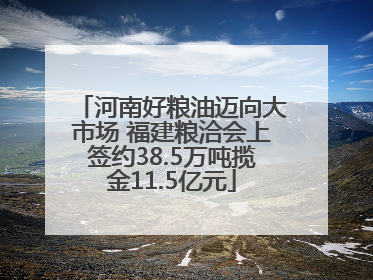 河南好粮油迈向大市场 福建粮洽会上签约38.5万吨揽金11.5亿元