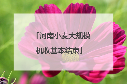 河南小麦大规模机收基本结束