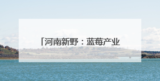 河南新野：蓝莓产业绘就振兴“蓝”图