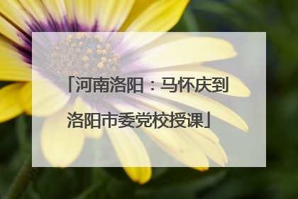 河南洛阳：马怀庆到洛阳市委党校授课