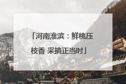河南淮滨：鲜桃压枝香 采摘正当时