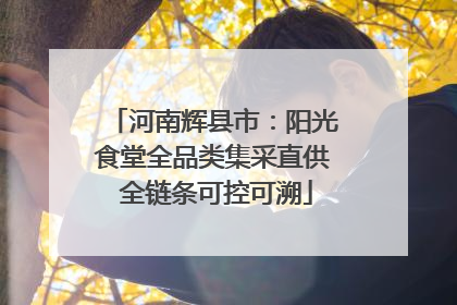 河南辉县市：阳光食堂全品类集采直供 全链条可控可溯