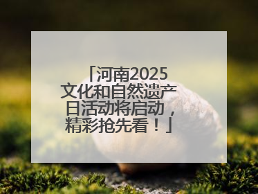 河南2025文化和自然遗产日活动将启动，精彩抢先看！