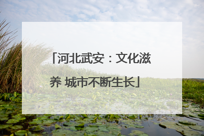 河北武安：文化滋养 城市不断生长