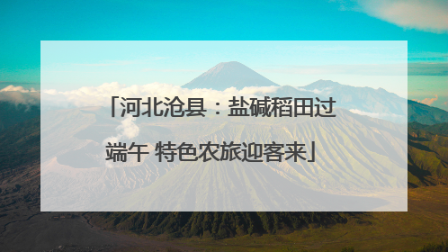 河北沧县：盐碱稻田过端午 特色农旅迎客来