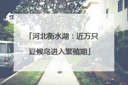 河北衡水湖：近万只夏候鸟进入繁殖期