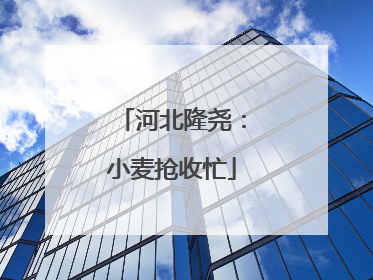 河北隆尧：小麦抢收忙