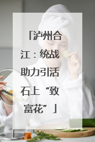 泸州合江：统战助力引活石上“致富花”
