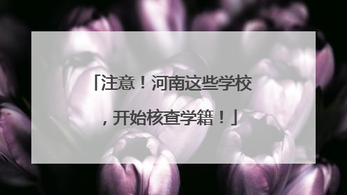 注意！河南这些学校，开始核查学籍！