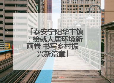 泰安宁阳华丰镇：绘就人居环境新画卷 书写乡村振兴新篇章